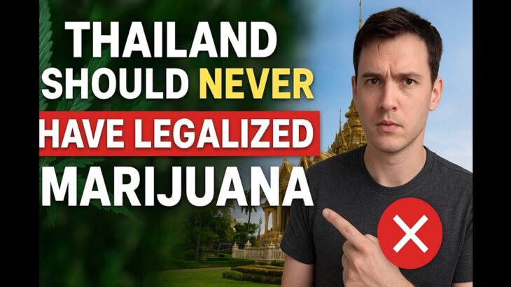 Why Thailand Should NEVER Have Legalized Marijuana 🚫🇹🇭 (Tourism at Risk)