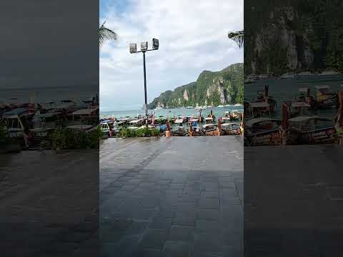 phi phi island Thai cannabis club #thailand #travel