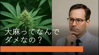 大麻ってなんでダメなの？