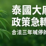 林老師課堂 | 泰國大麻政策急轉彎 合法三年喊停的真相