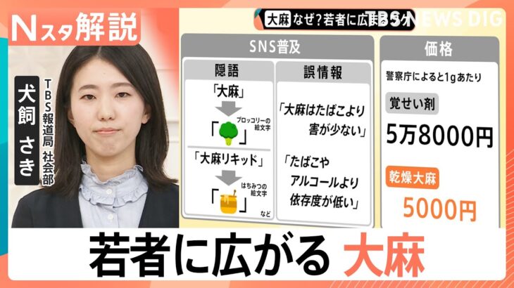 若年層に広がる大麻汚染の背景、清水尋也容疑者「初めて吸ったのはアメリカ留学時…」【Nスタ解説】｜TBS NEWS DIG