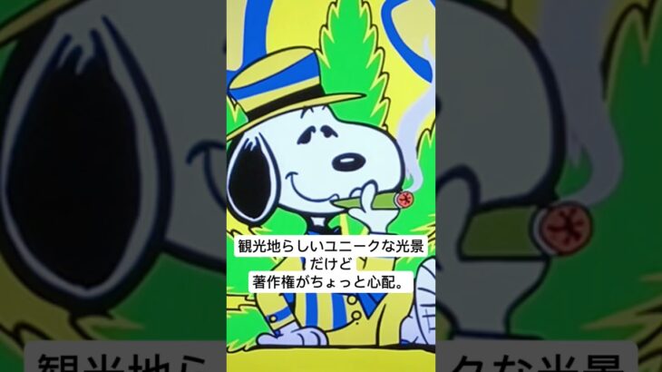 タイ南部サムイ島で「スヌーピー」の大麻屋を発見。チャウエンビーチ通り。ここで見つけたのは「Snoopy Samui」 #タイ旅行 #サムイ島 #タイ