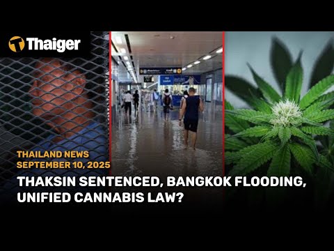 Thailand News: Thaksin Sentenced, Bangkok Flooding, Unified Cannabis law?