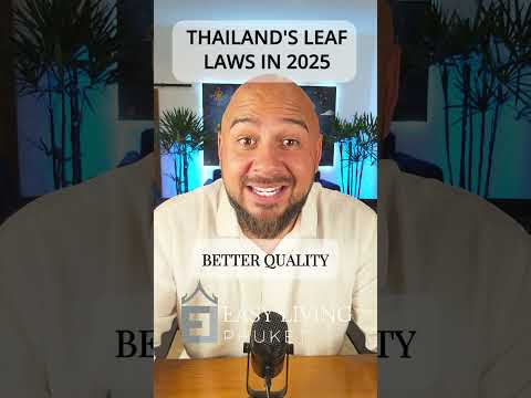 Thailand’s Cannabis Laws Are Changing Why That’s Good for Investors 🌿