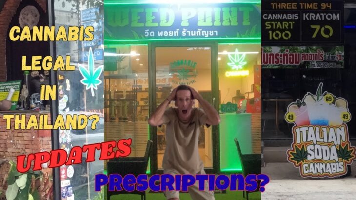 Thailand’s Latest Cannabis NEWS Legal Updates Emerging Trends