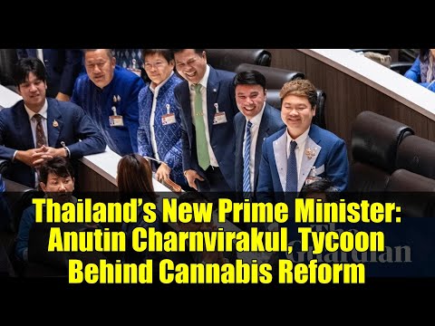 Thailand’s New Prime Minister: Anutin Charnvirakul, Tycoon Behind Cannabis Reform