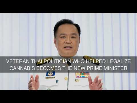 Veteran Thai politician who helped legalize cannabis becomes the new prime minister