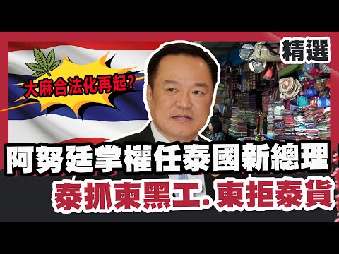 大麻合法化再起？阿努廷掌權任泰國新總理！邊境衝突不斷 泰抓柬黑工.柬拒泰貨【#優選話題】#泰國#總理#柬埔寨