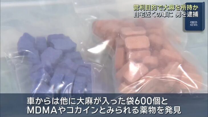 大麻を営利目的で所持か 男を再逮捕 車から大麻が入った袋600個見つかる 愛知県警 (25/10/21 22:22)