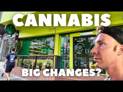 Cannabis in Thailand – What’s Happening Now?