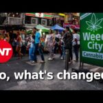 Navigating cannabis in Thailand – October 2025