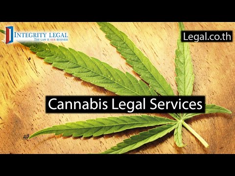 Thai Cannabis Storage, Compliance, & Import/Export Assistance?