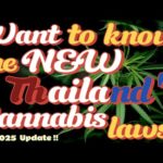 Want to know the new Thailand cannabis laws?