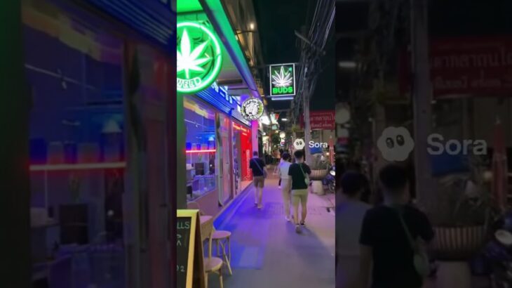 泰国曼谷街头大麻店探索