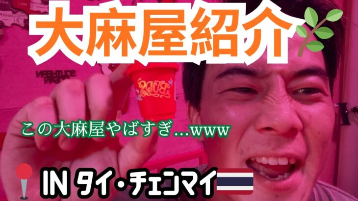 【大麻屋紹介】タイチェンマイの大麻屋やばすぎ…www