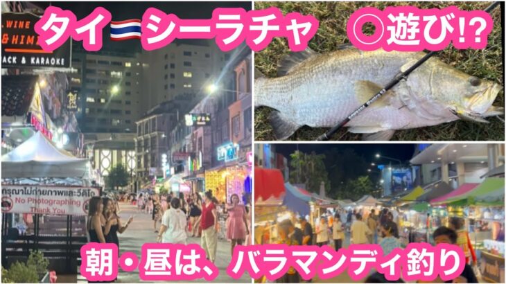 タイ🇹🇭シーラチャ・シラチャ　○遊び‼️朝・昼　バラマンディ釣り　タイ　パイロット111