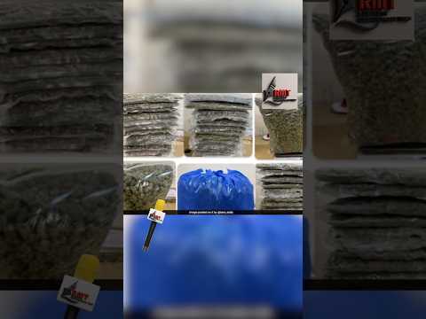 💰 “Bangkok Flight Se 2 Kilo Hydroponic Weed! Mumbai Customs Ne Kiya Dhamakedar Action 🚨”