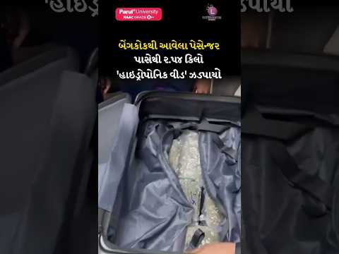 Bangkok થી આવેલા passenger પાસેથી 2.54 kg ‘hydroponic weed’ ઝડપાયો