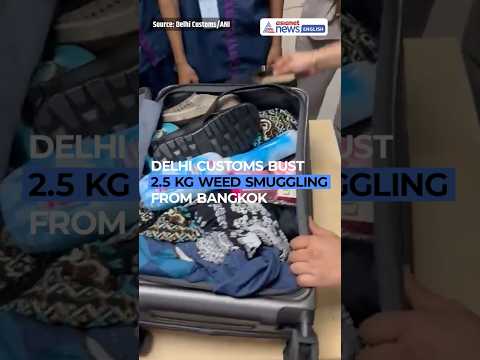 Delhi Customs Seize Over 2.5 Kg Hydroponic Weed From Passenger Arriving From Bangkok