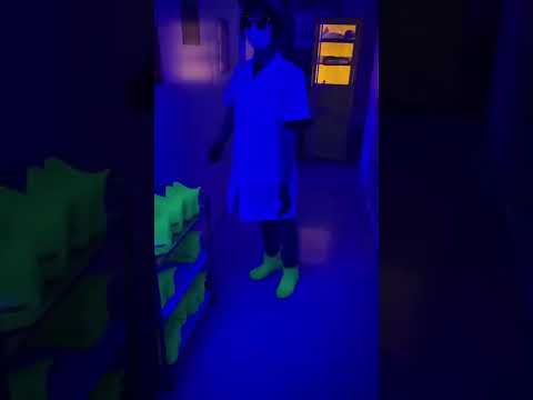 Experience a Cannabis Farm Tour in Bangkok! #bangkok #thailand #cannabisdispensary #bangkokthailand