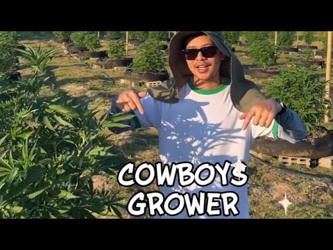 POK – The Cowboy Grower of MJB FARM | Thailand’s Giant Weed Season 3 🌿