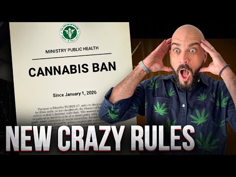 Thailand CHANGED Everything – New Cannabis Rules in Thailand (2025/2026)