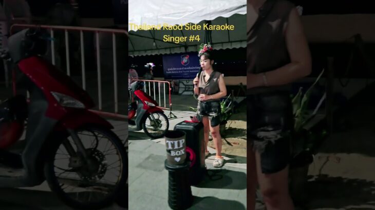 Thailand Raod Side Karaoke Singer # 4