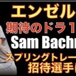 2023年 エンゼルス スプリングトレーニング招待選手決定‼️ Sam Bachmanなど注目選手紹介‼️ エンゼルスが獲得すべき掘り出し物リリーフ投手‼️ ダルビッシュ契約延長会見‼️