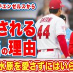 大谷翔平の通訳・水原一平がエンゼルスから愛される本当の理由に衝撃の嵐！「キングイッペイ！！」大谷と年齢差１０歳の二人の関係性に驚きを隠せない…【MLB】【海外の反応】