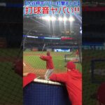 ⚾打球音ヤバい！【大谷フリー打撃まとめ】#shoheiohtani #shorts #大谷翔平