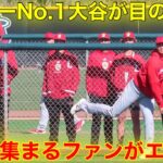 大谷を目の前で！続々と大谷の元へ集まるファンが釘付け！【現地映像】