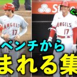 色んなチームから！大谷翔平 相手ベンチから絡まれる集！エンゼルス【現地映像】