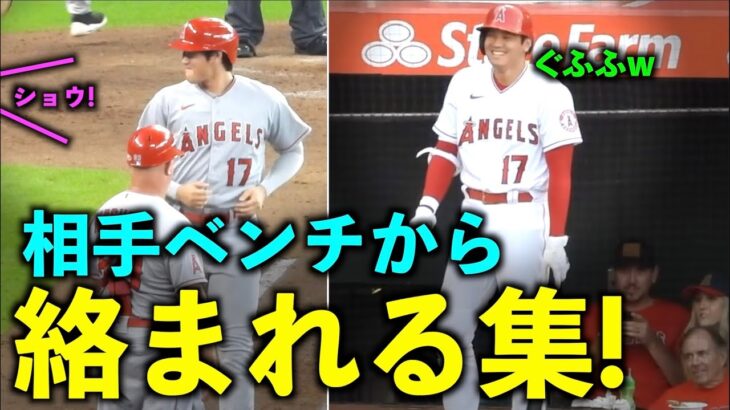 色んなチームから！大谷翔平 相手ベンチから絡まれる集！エンゼルス【現地映像】