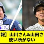 侍ジャパン山川と山田、使い所がないwww【なんJ反応】