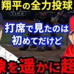 【大谷翔平】エンゼルス合流直後にトラウトが漏らした”本音”がヤバすぎる…「仲間でよかったｗ」WBC日米”夢の対決”の次はワールドシリーズ制覇！ファンの期待が止まらない【海外の反応】