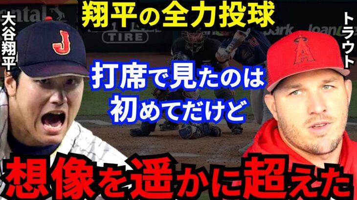 【大谷翔平】エンゼルス合流直後にトラウトが漏らした”本音”がヤバすぎる…「仲間でよかったｗ」WBC日米”夢の対決”の次はワールドシリーズ制覇！ファンの期待が止まらない【海外の反応】