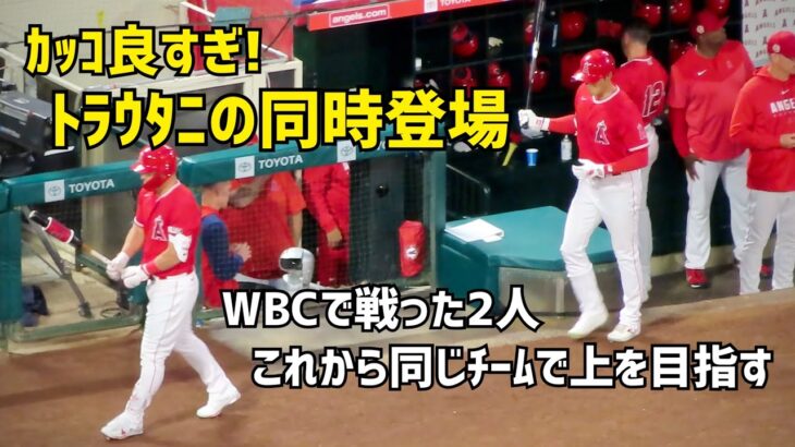 カッコ良すぎ！トラウタニの同時登場 WBCで戦った２人同じチームで上を目指す Shohei Ohtani Angels  大谷翔平 トラウト