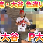 【WBC優勝祈願】二刀流・大谷翔平の色違いを厳選して日本代表に光をもたらそう！【ポケモンSV/スカバイ】