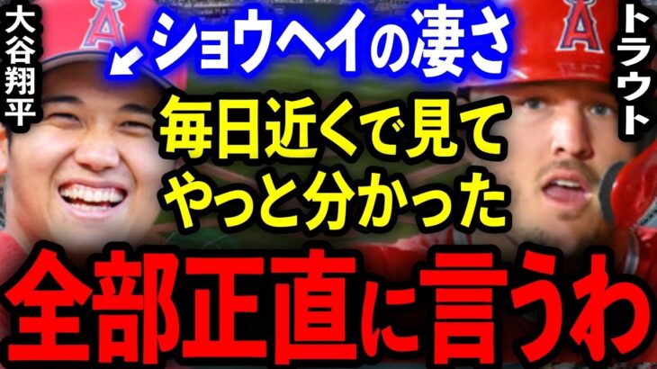 【大谷翔平】トラウトやイチローが言葉を失う程驚いた「大谷の本当の凄さ」を本音で全暴露！トラウトしか知らない大谷の真の凄さに驚愕…【プロ野球】