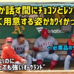 トラウタニの間にチョコンとレンフロー 夢中さがかわいかった件 Shohei Ohtani エンゼルス Angels  大谷翔平 現地映像