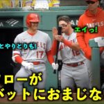 打てる打てる！レンフローが大谷バットにおまじない！その後、観客に話しかけられる！【現地映像】エンゼルスvsレッドソックス第3戦4/17