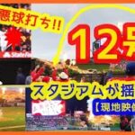 【大谷翔平 悪球打ち豪快12号ホームラン現地映像まとめ】今季４回目のトラウタニ・アベック弾でスタジアムが揺れるｗスイープ４連勝で貯金５は嬉し過ぎる！