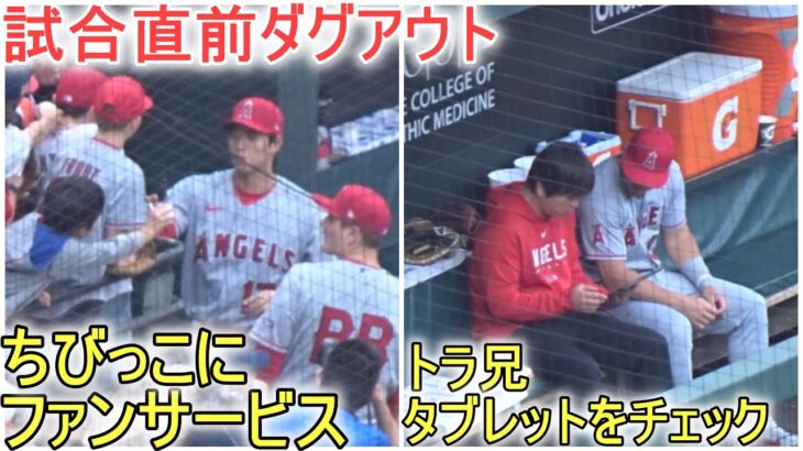 トラウト兄貴からも信頼されている一平くん＆大谷翔平選手ファンサービス【大谷翔平選手】～対オリオールズ・シリーズ2戦目～Shohei Ohtani vs Orioles 2023