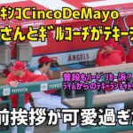 大谷選手とギルコーチがテキーラショット！ 試合前挨拶が可愛すぎた  エンゼルス Angels  大谷翔平 Shohei Ohtani 現地映像