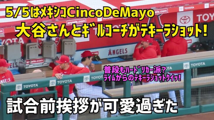 大谷選手とギルコーチがテキーラショット！ 試合前挨拶が可愛すぎた  エンゼルス Angels  大谷翔平 Shohei Ohtani 現地映像