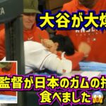 大爆笑‼️ネビン監督が日本のガムの捨て紙を食べちゃった😱大谷が笑い転げる🤣【現地映像】ShoheiOhtani Angels