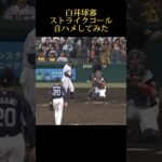 【アーイ‼︎】白井球審ストライクコールで音ハメしてみた#読売ジャイアンツ #阪神タイガース #プロ野球 #mlb #大谷翔平 #大谷翔平 #wbc #侍ジャパン #坂本勇人 #白井