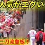 激レア迷彩キャップ登板！地元人気がエグい事に！【現地映像】