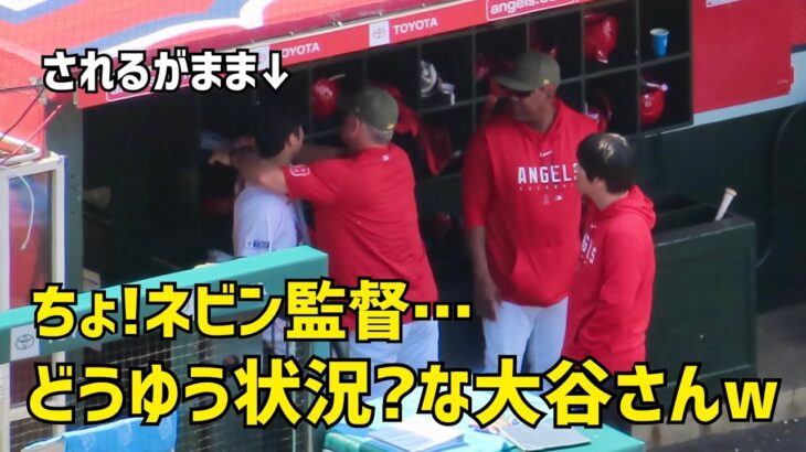 ちょ！ネビン監督…  大谷さんへ なんで？な行動  面白すぎたw  エンゼルス Angels  大谷翔平 Shohei Ohtani 現地映像