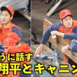 表情豊かw キャニングと楽しそうに話す大谷翔平【現地映像】エンゼルスvsカージナルス第1戦5/3